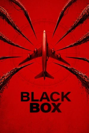 Black Box(2026)